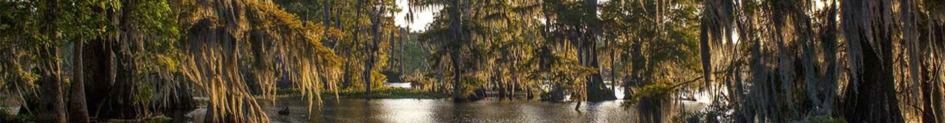 Covington Louisiana Drug Rehab Centers